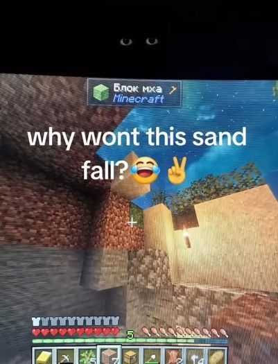 Enderman tweet media