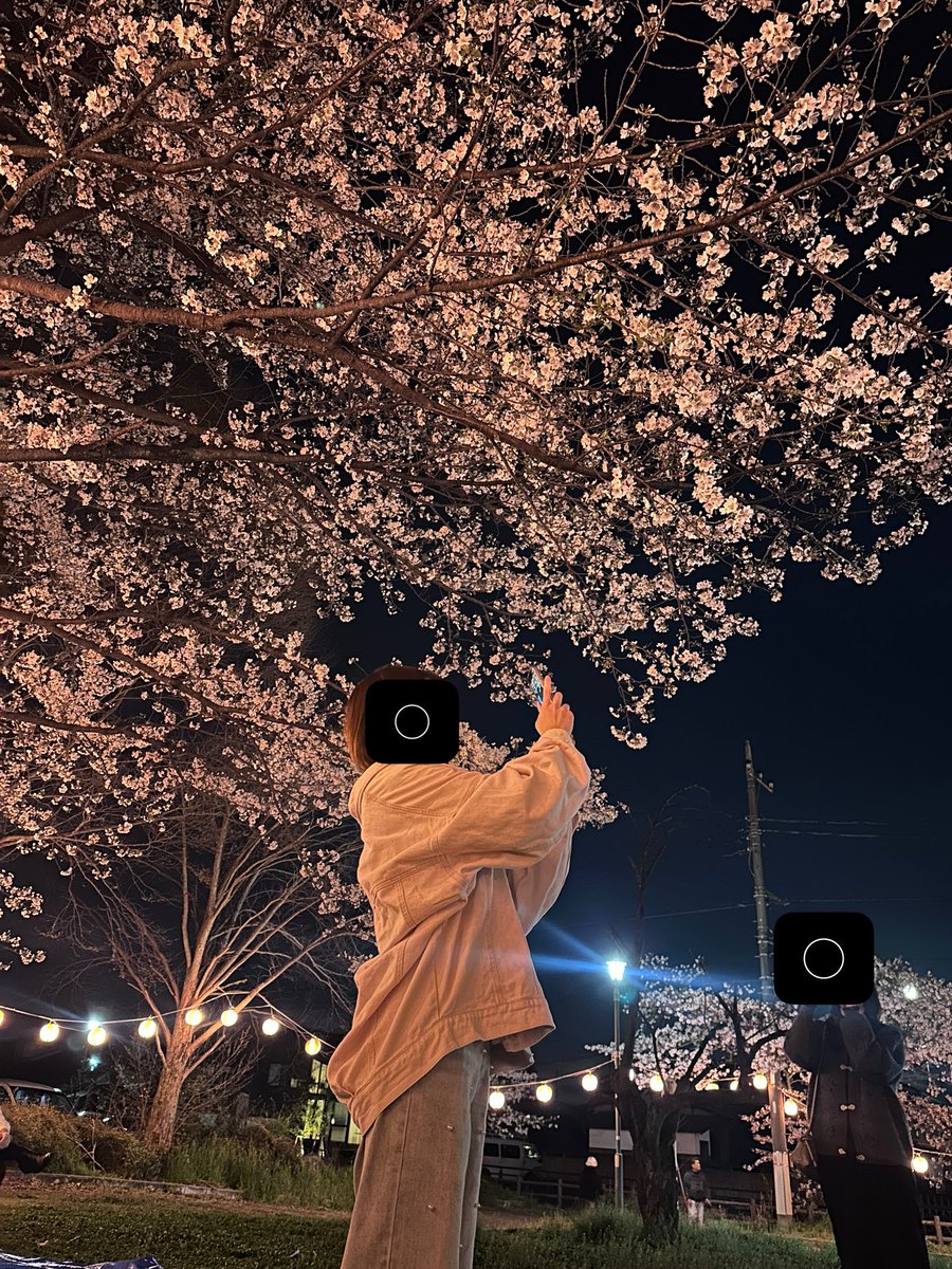 紫驪|シレイ@カフカ-KafKa-/薊 tweet media