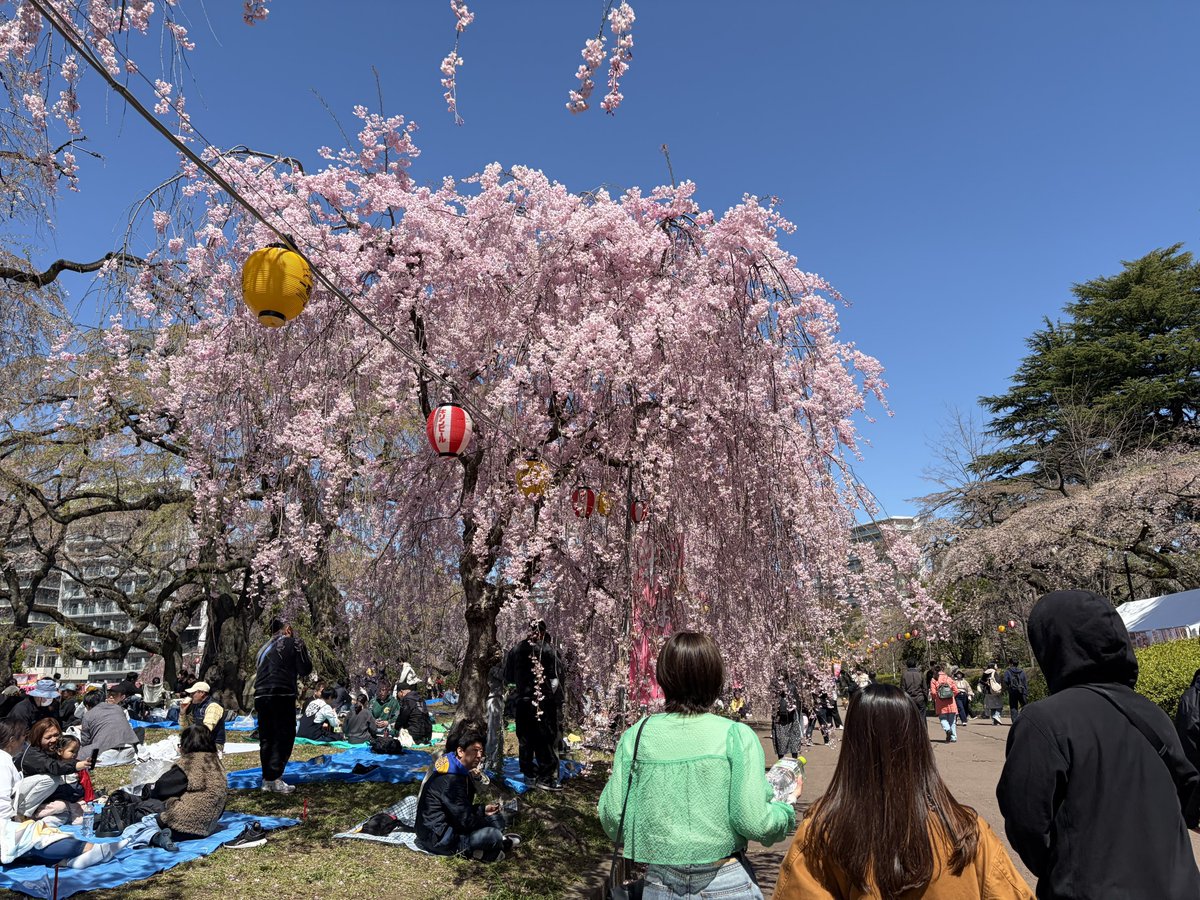 のだたん tweet media