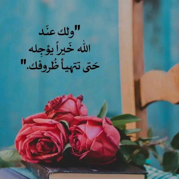 ‹ حــۘريـۘ❈ـر tweet media