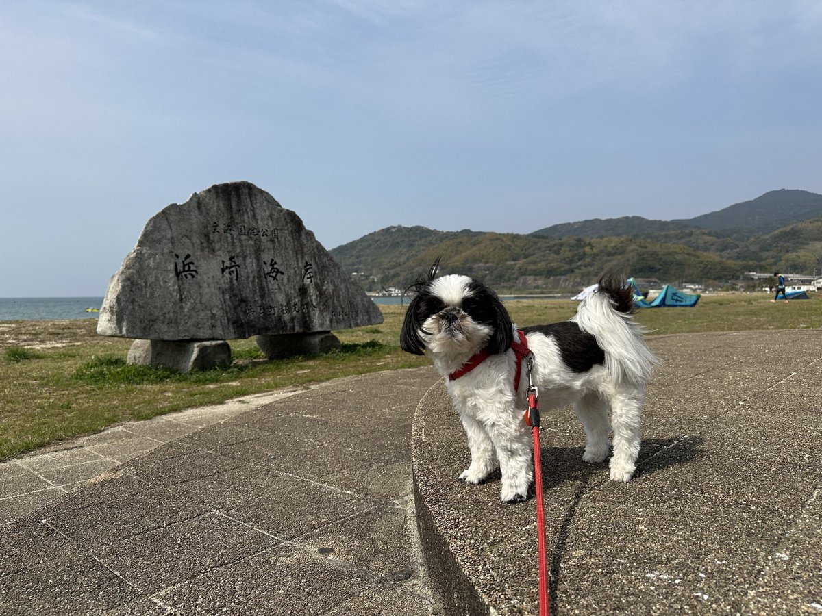 きひろ tweet media