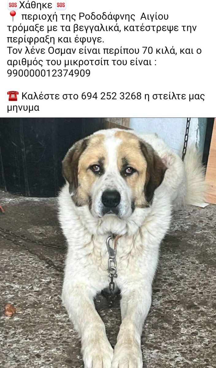 Χλε_Μπονα Σαμερ tweet media