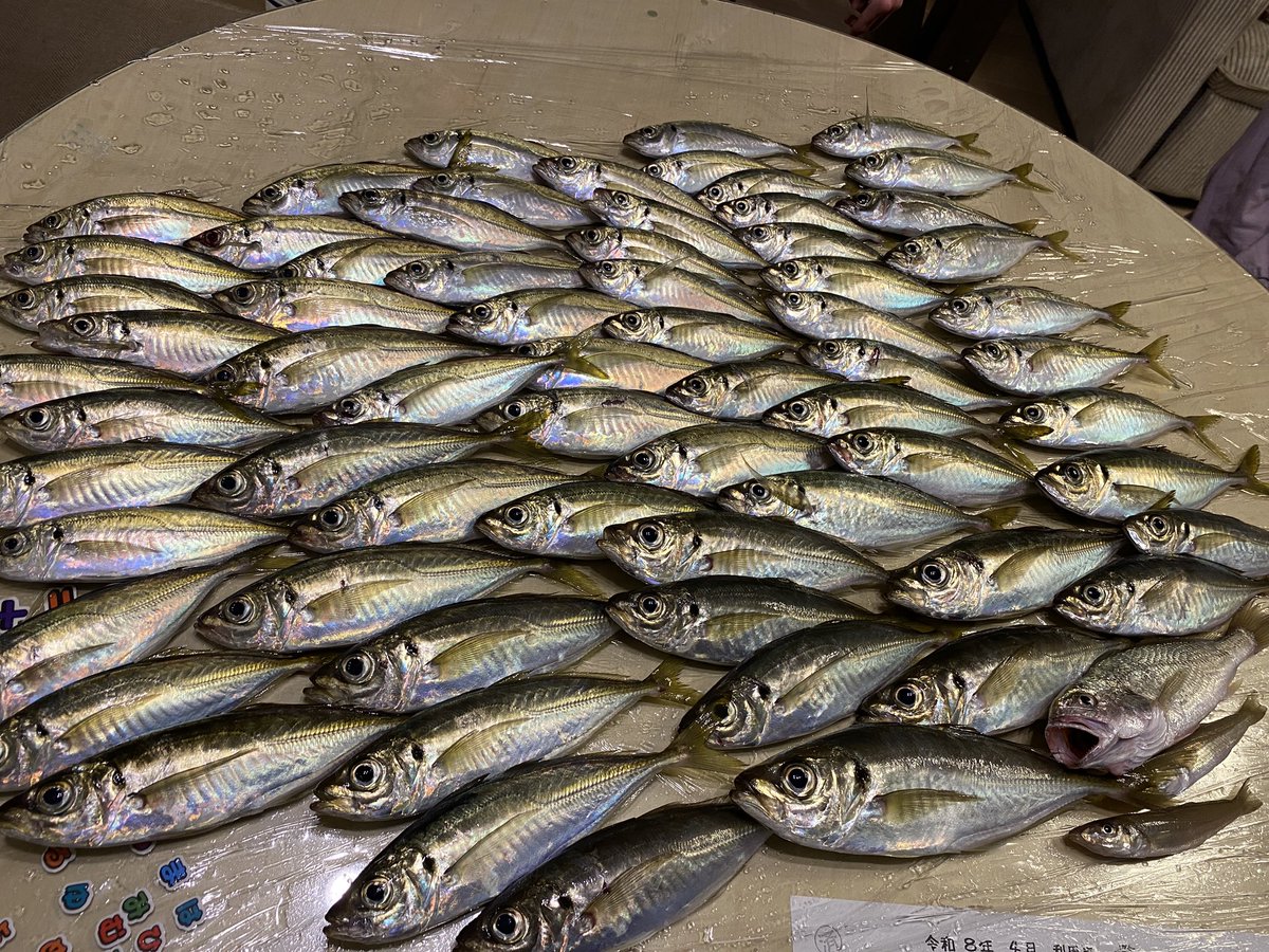 カナベル tweet media