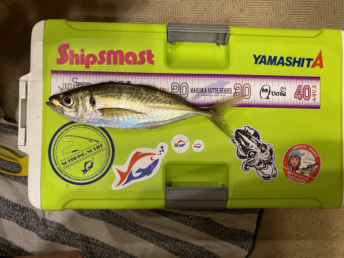 カナベル tweet media