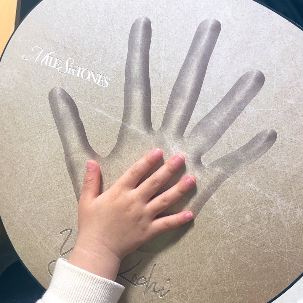 ちこ🦔⸒⸒ tweet media