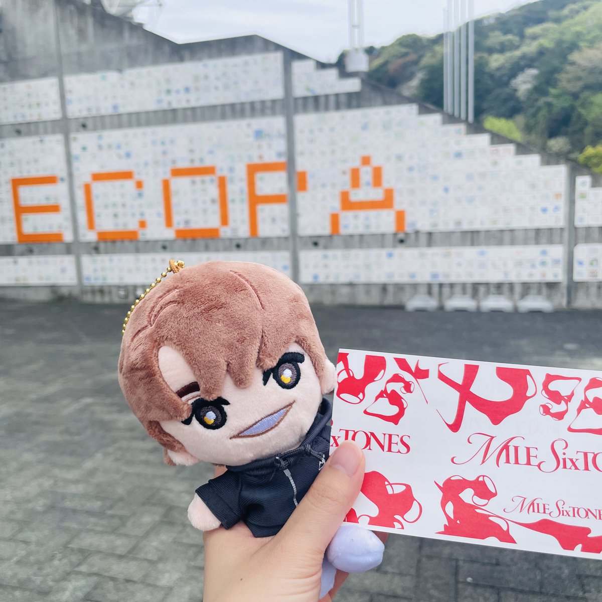 ちこ🦔⸒⸒ tweet media