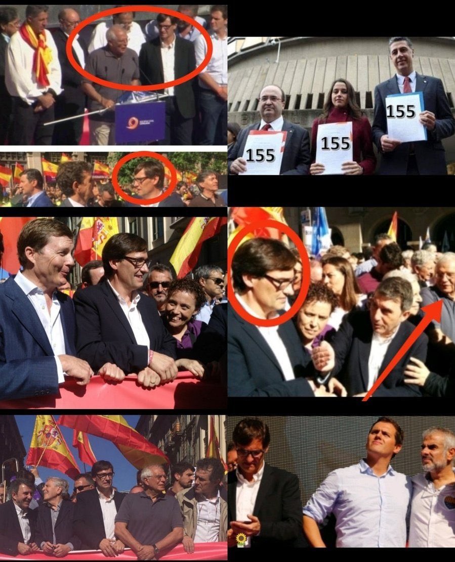 telm 2029 #deulofeudixit tweet media