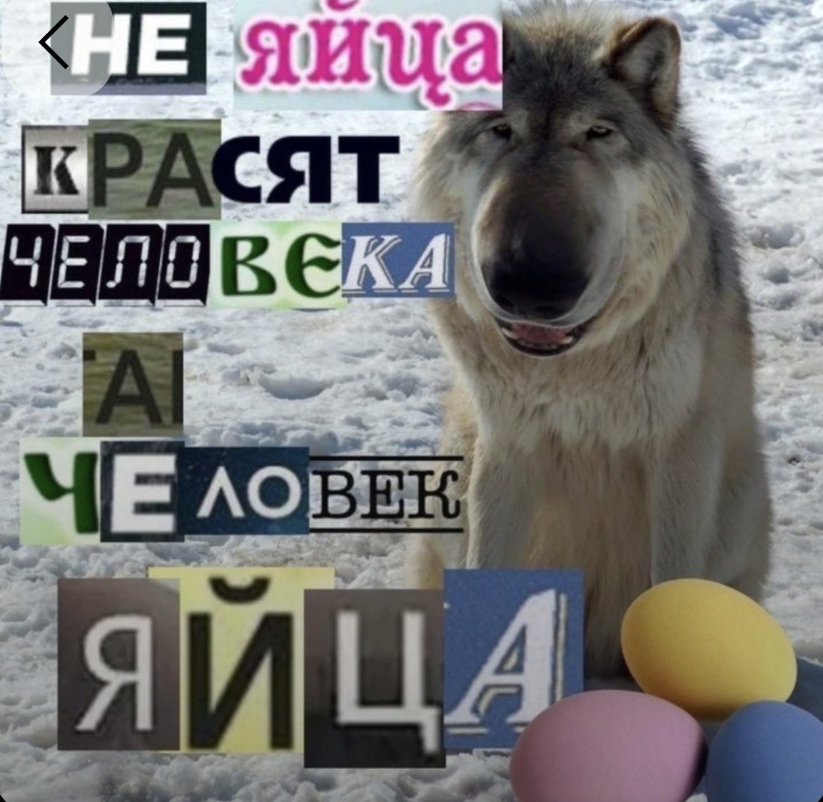 вампирица⚢ tweet media