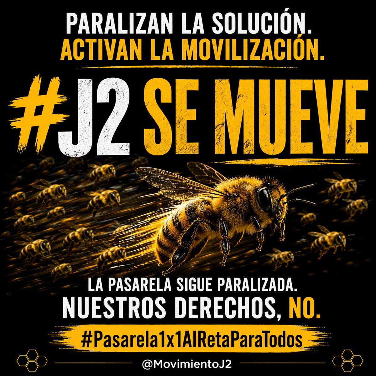 Alicia Orihuela Velasco tweet media