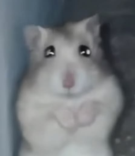 TweetsOfHamster's tweet photo. 🥺 https://t.co/3Sgk9dGPSy