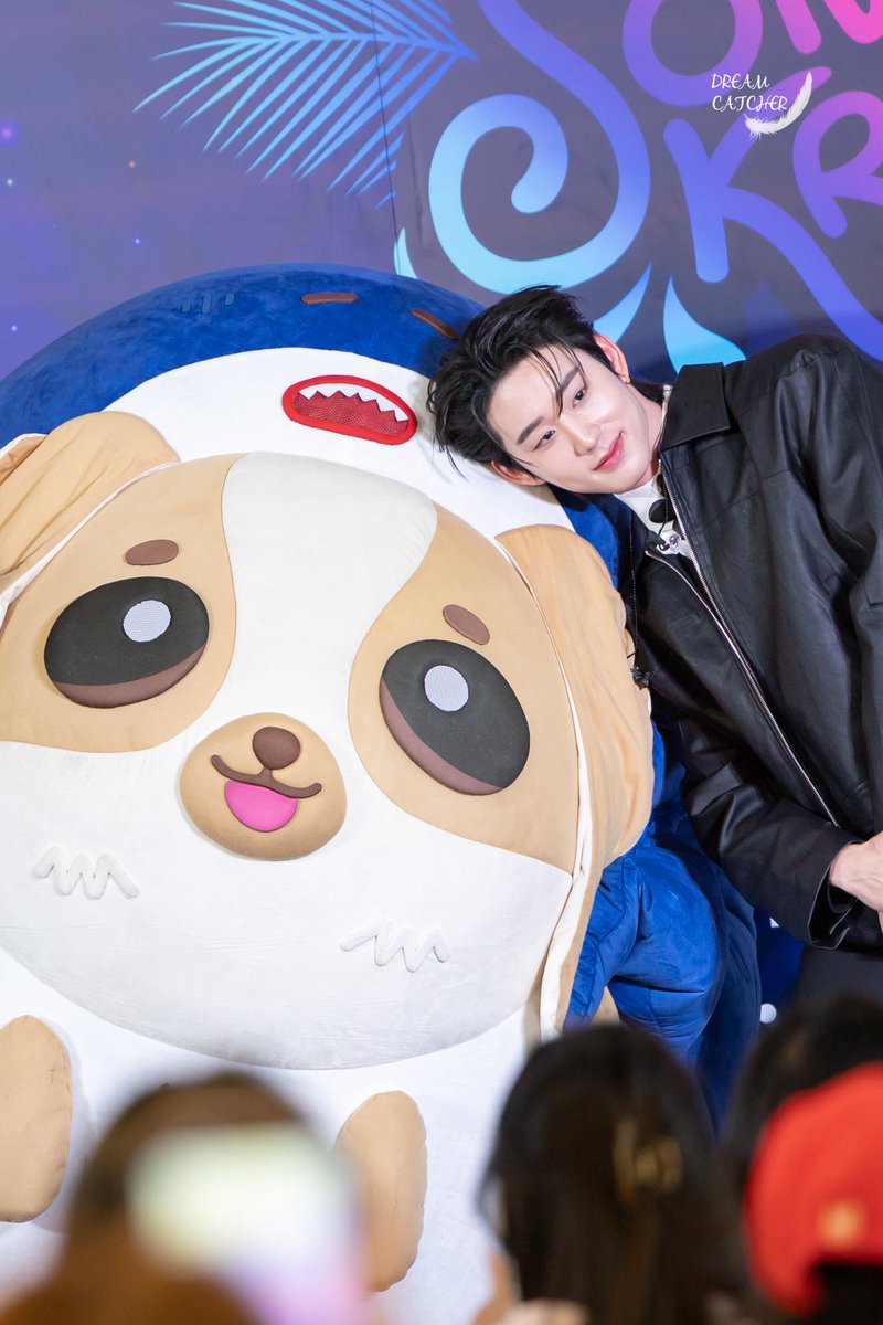 Dreamcatcher tweet media