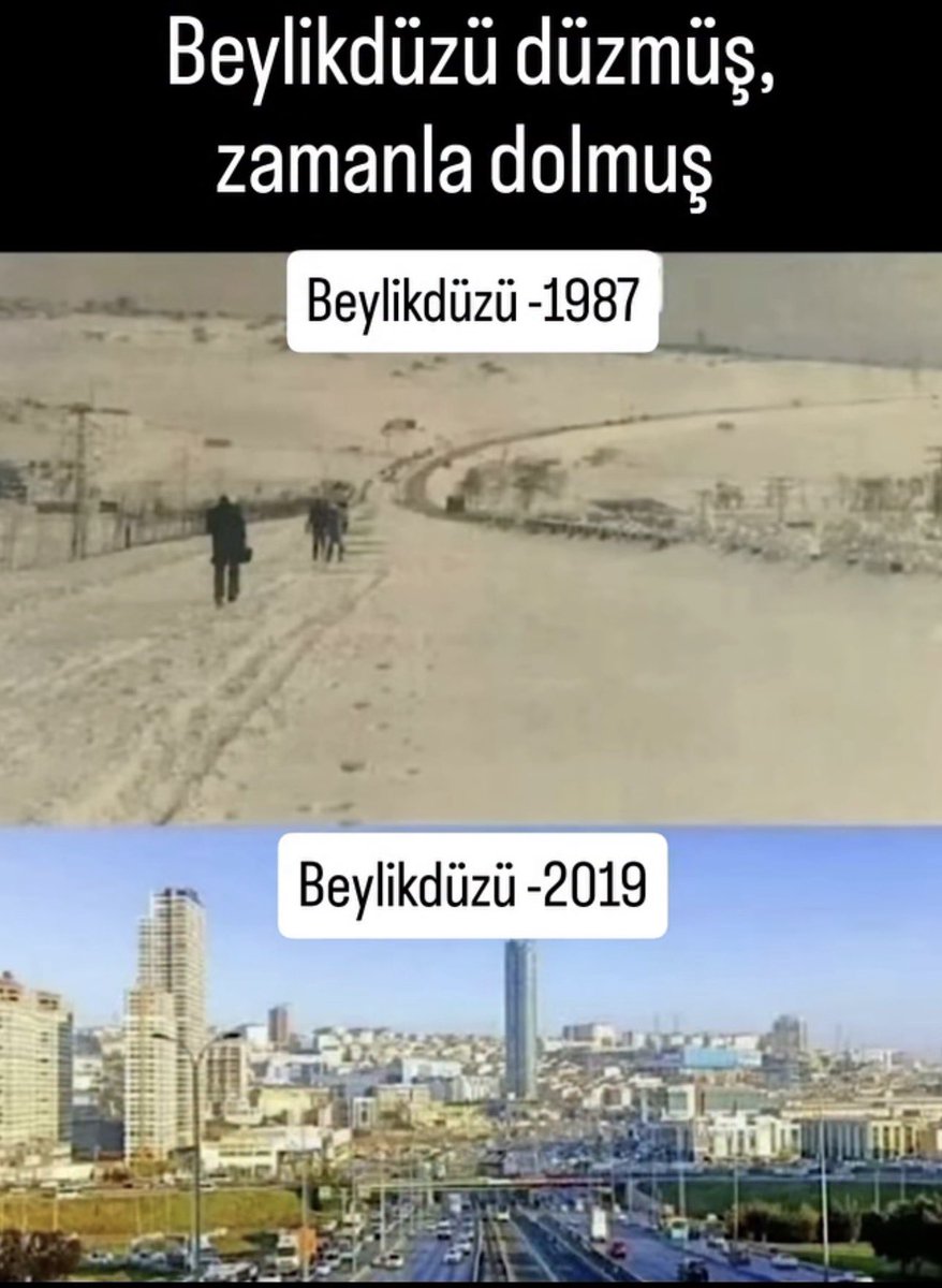 fatoş 🐯🐕🐣 tweet media