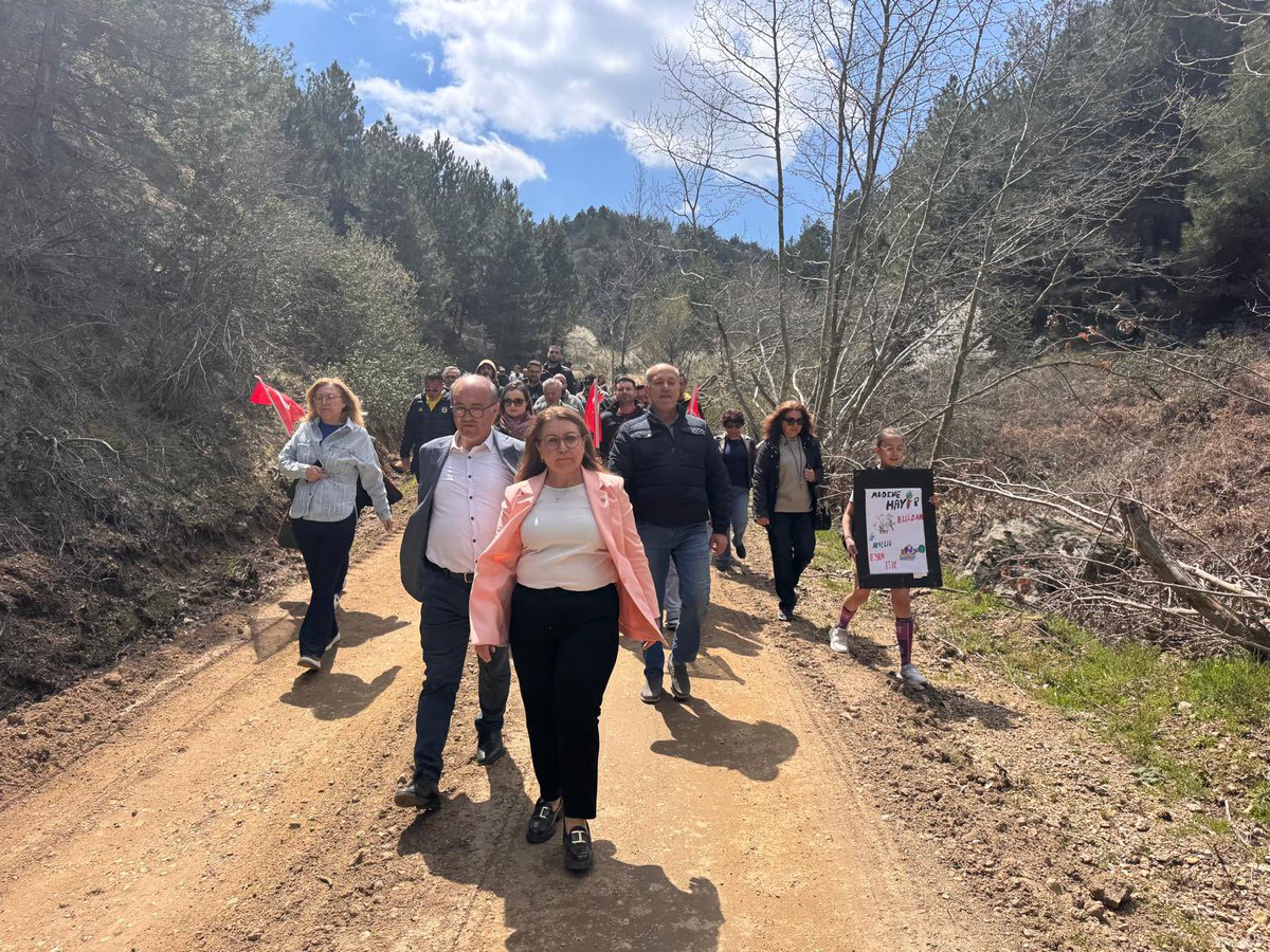 Gülizar Biçer Karaca tweet media