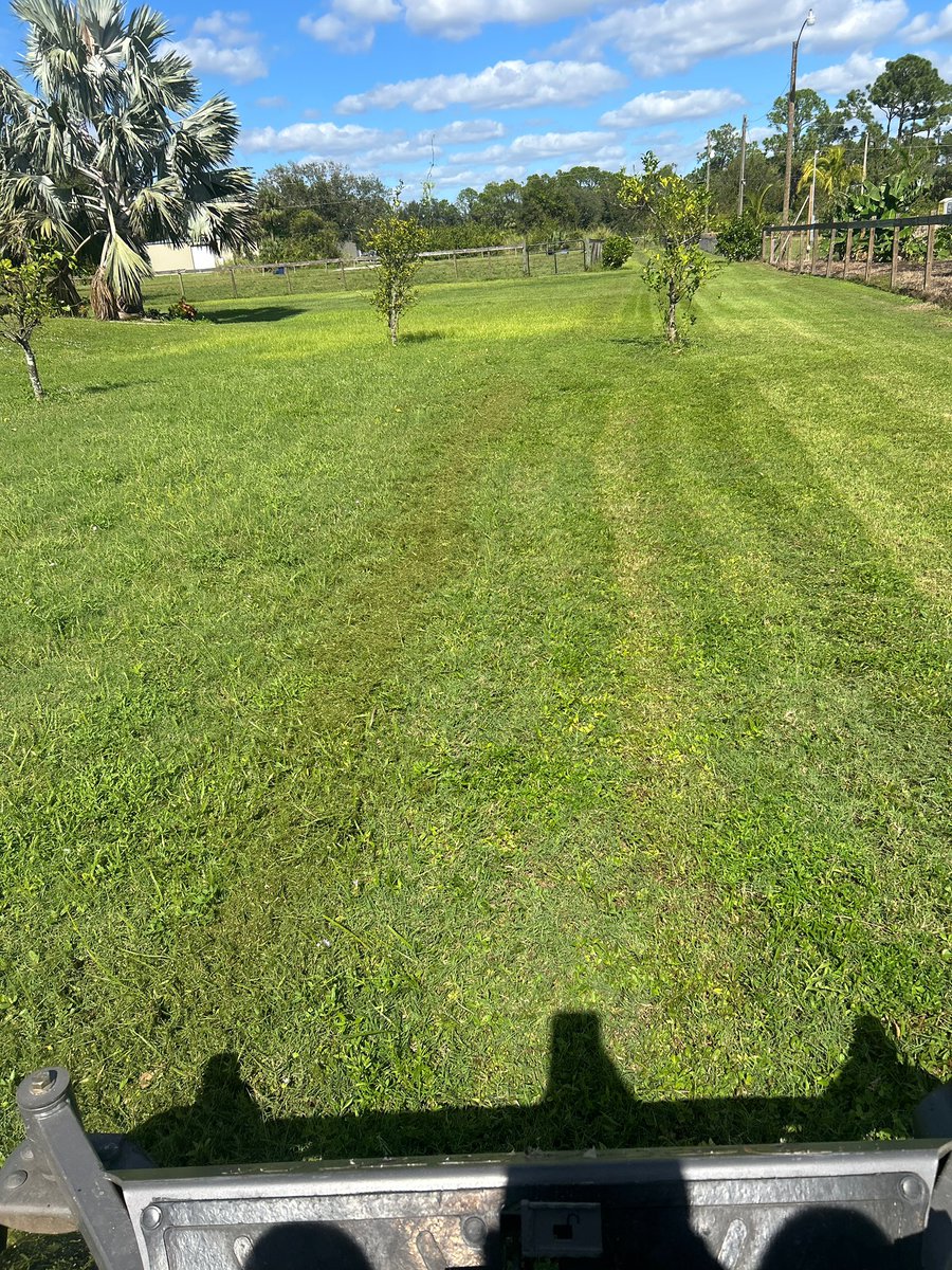 BubbaGump tweet media