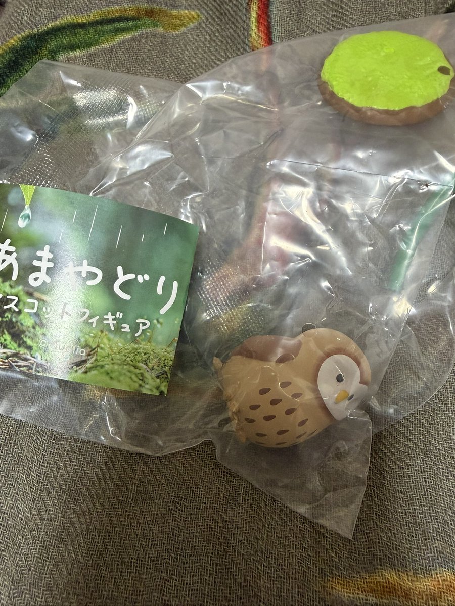 あかみどり tweet media