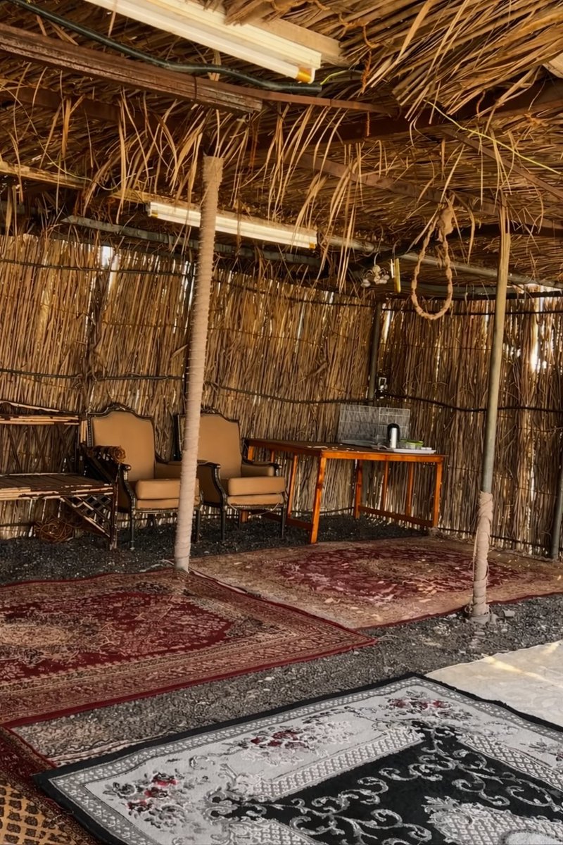 االرۅا🅢حــي༄ tweet media