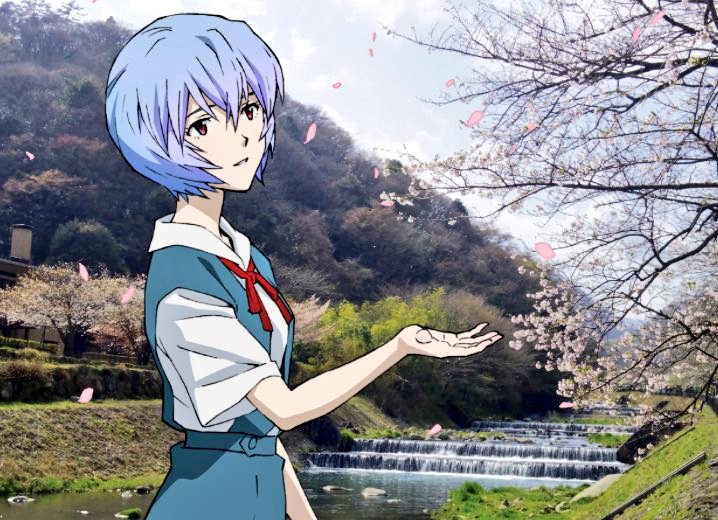 Rei Ayanami tweet media
