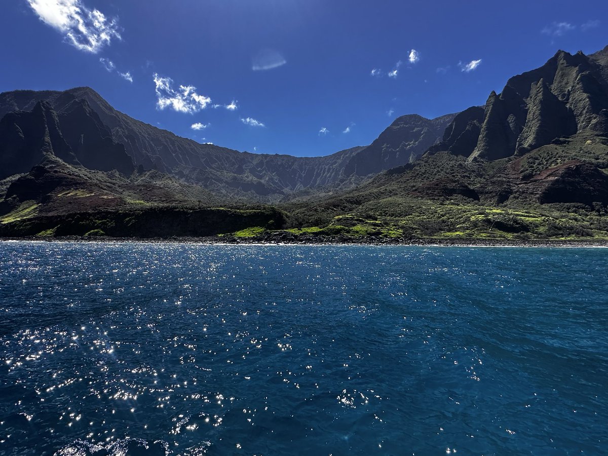 Cubs Prospects - Bryan Smith tweet media