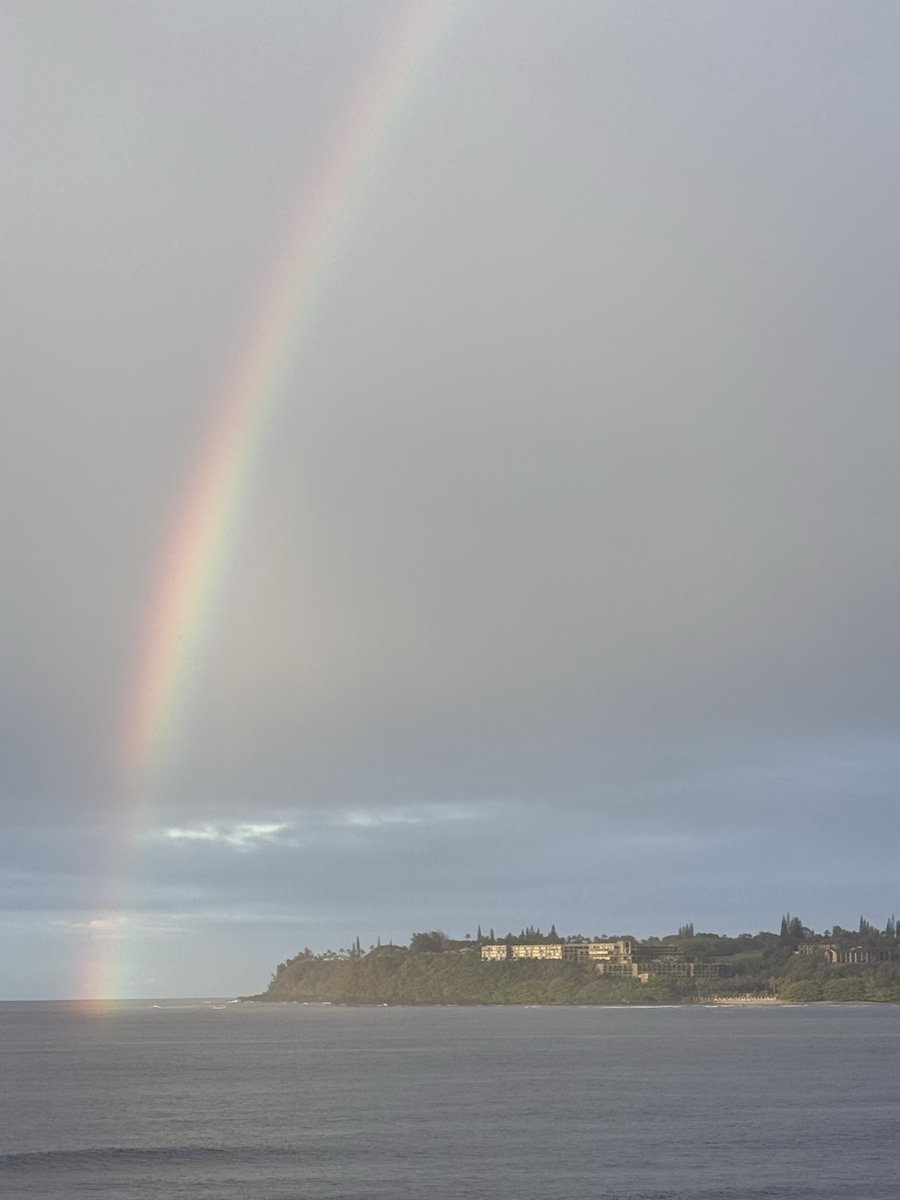 Cubs Prospects - Bryan Smith tweet media