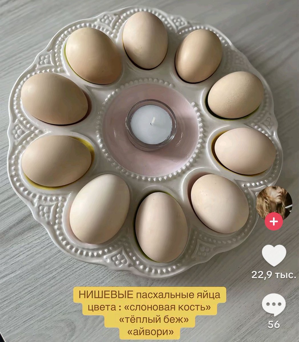 🥩 маша великая иттокинни. 🇺🇦 tweet media