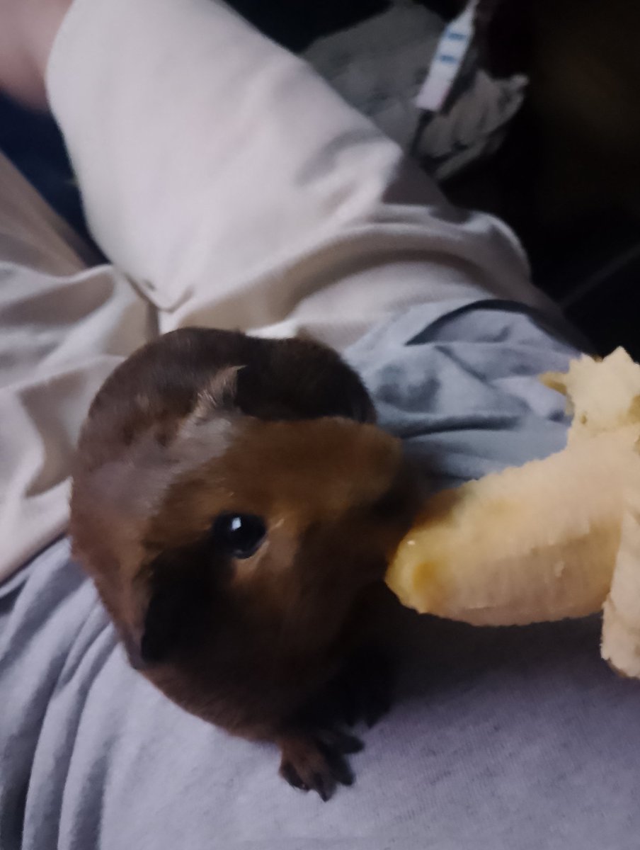 Hamlette 🐟🔱🪐 tweet media