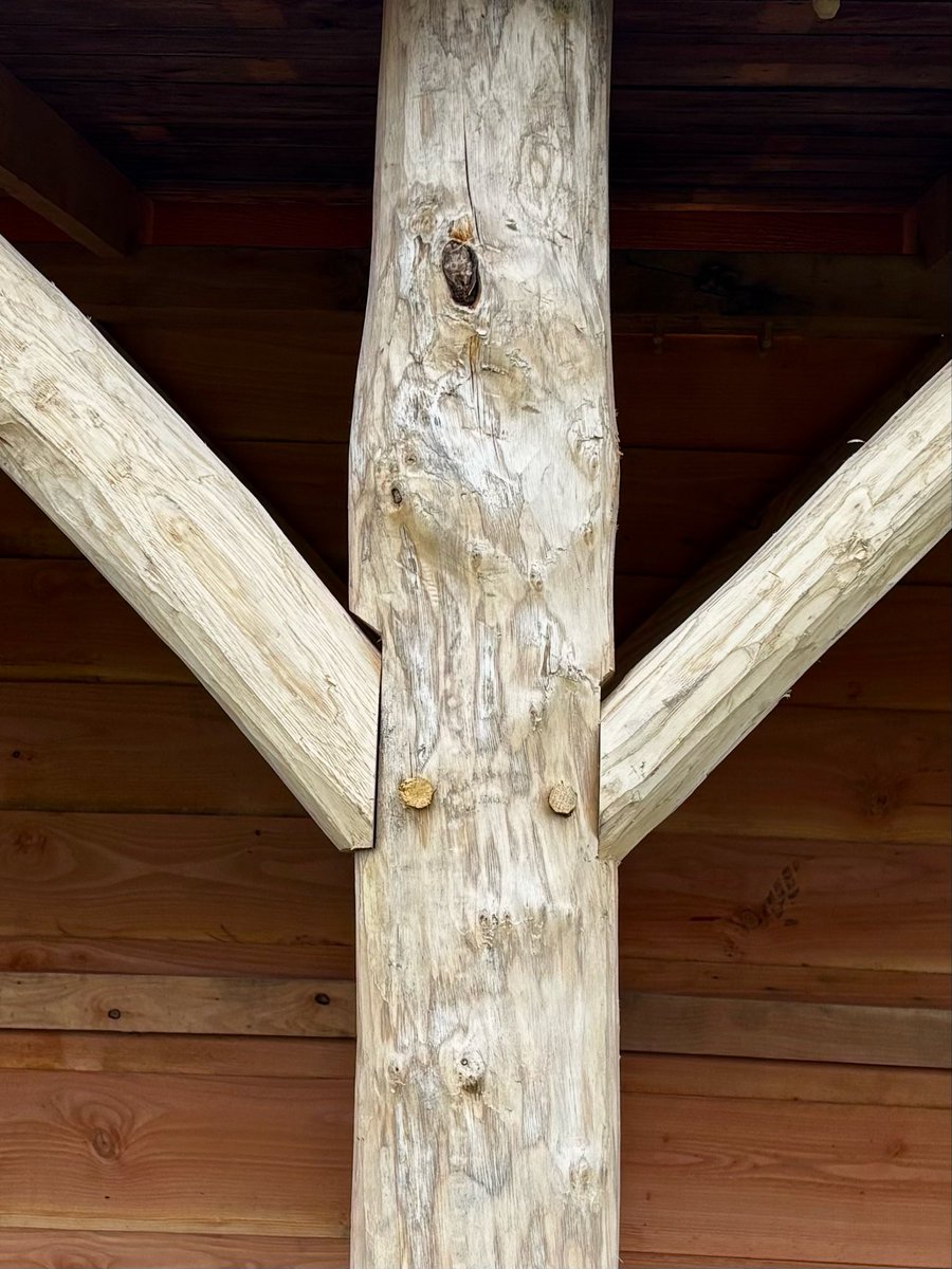 Bill Bisgood 🏴󠁧󠁢󠁷󠁬󠁳󠁿 tweet media