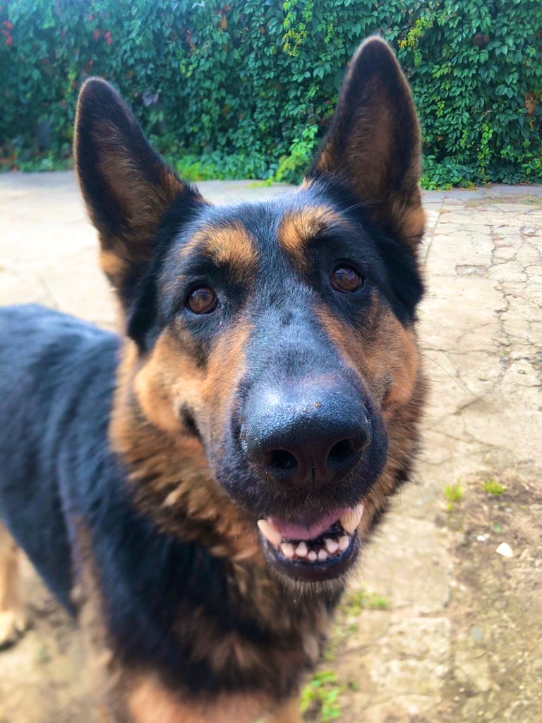 Инесса tweet media