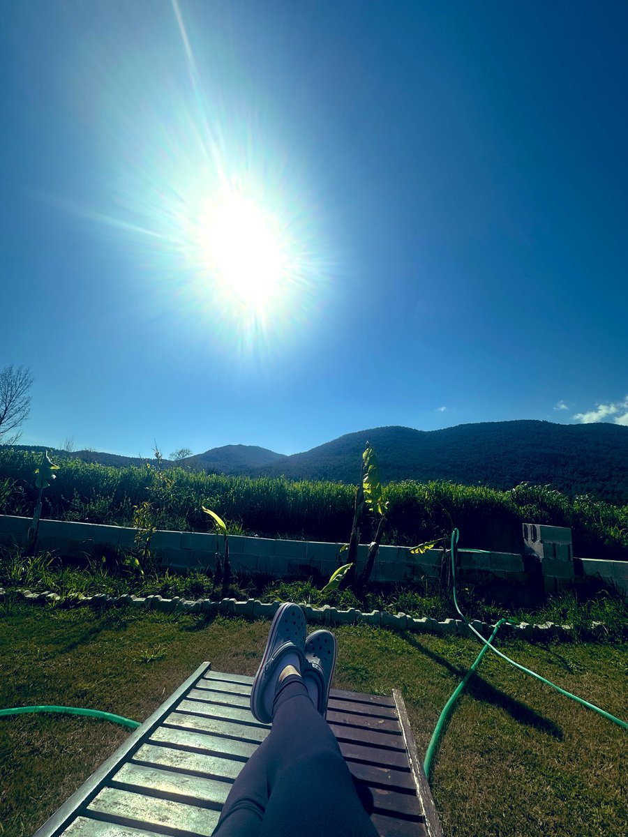 candy🕯🌸 tweet media