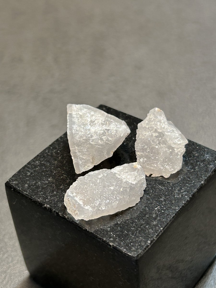 ⍴⌠⎰⊺⍴⊺⌠⏥犬の専門店 tweet media