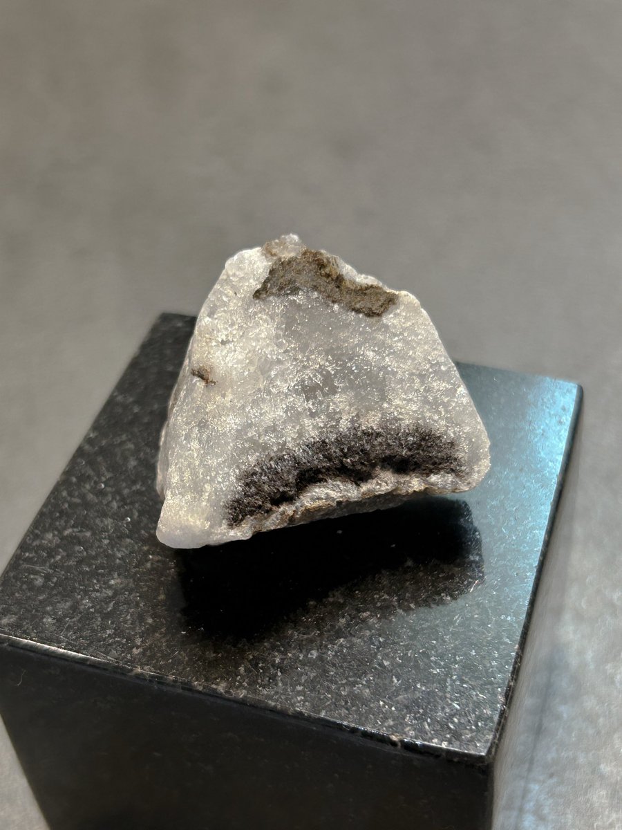 ⍴⌠⎰⊺⍴⊺⌠⏥犬の専門店 tweet media