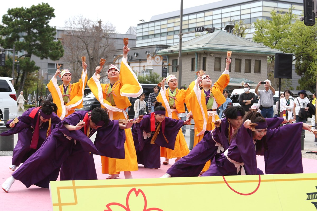 aaaa3696's tweet photo. 京都さくらよさこい
　銀杏連さん https://t.co/ef1JKVvUzo