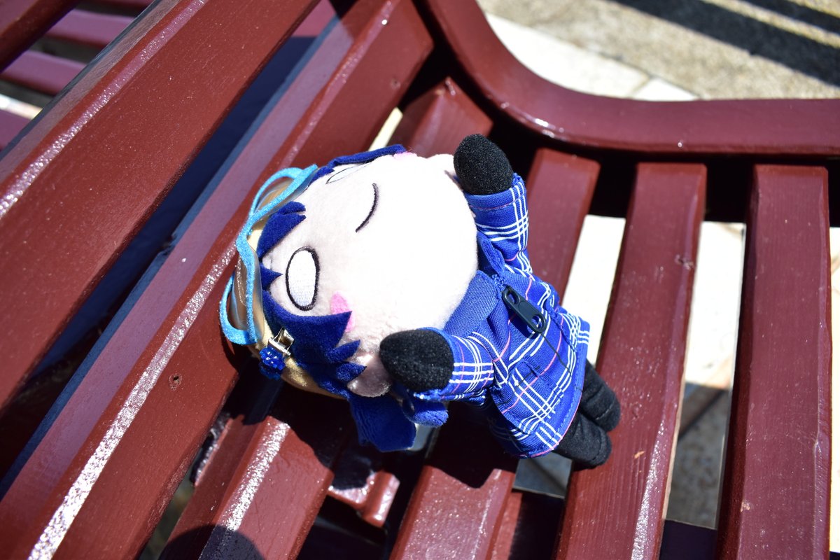 うみゅみゅん tweet media