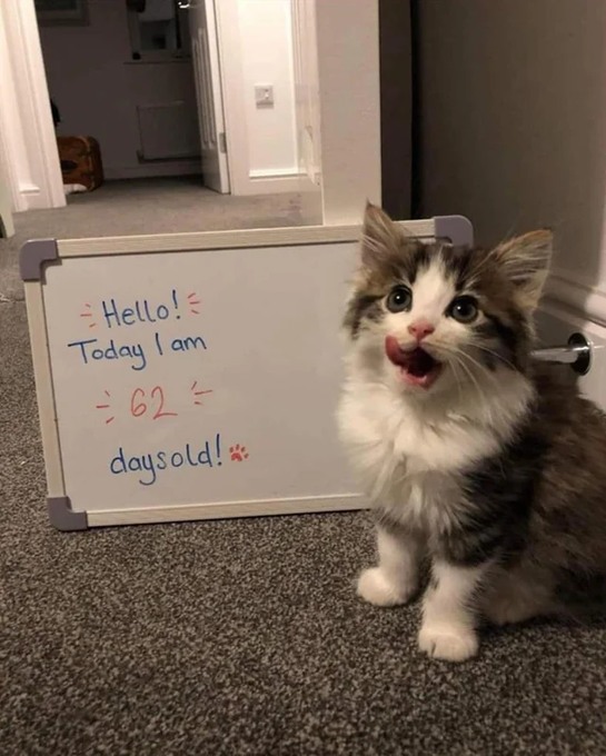 Eric Alper 🎧 tweet media