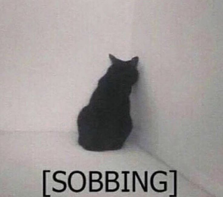 violet (SUO!!!!!!!)🌻🍉🥊 tweet media