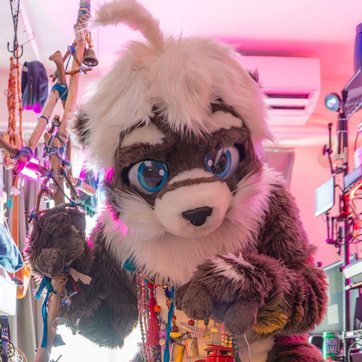 R'f-layla_Info tweet media