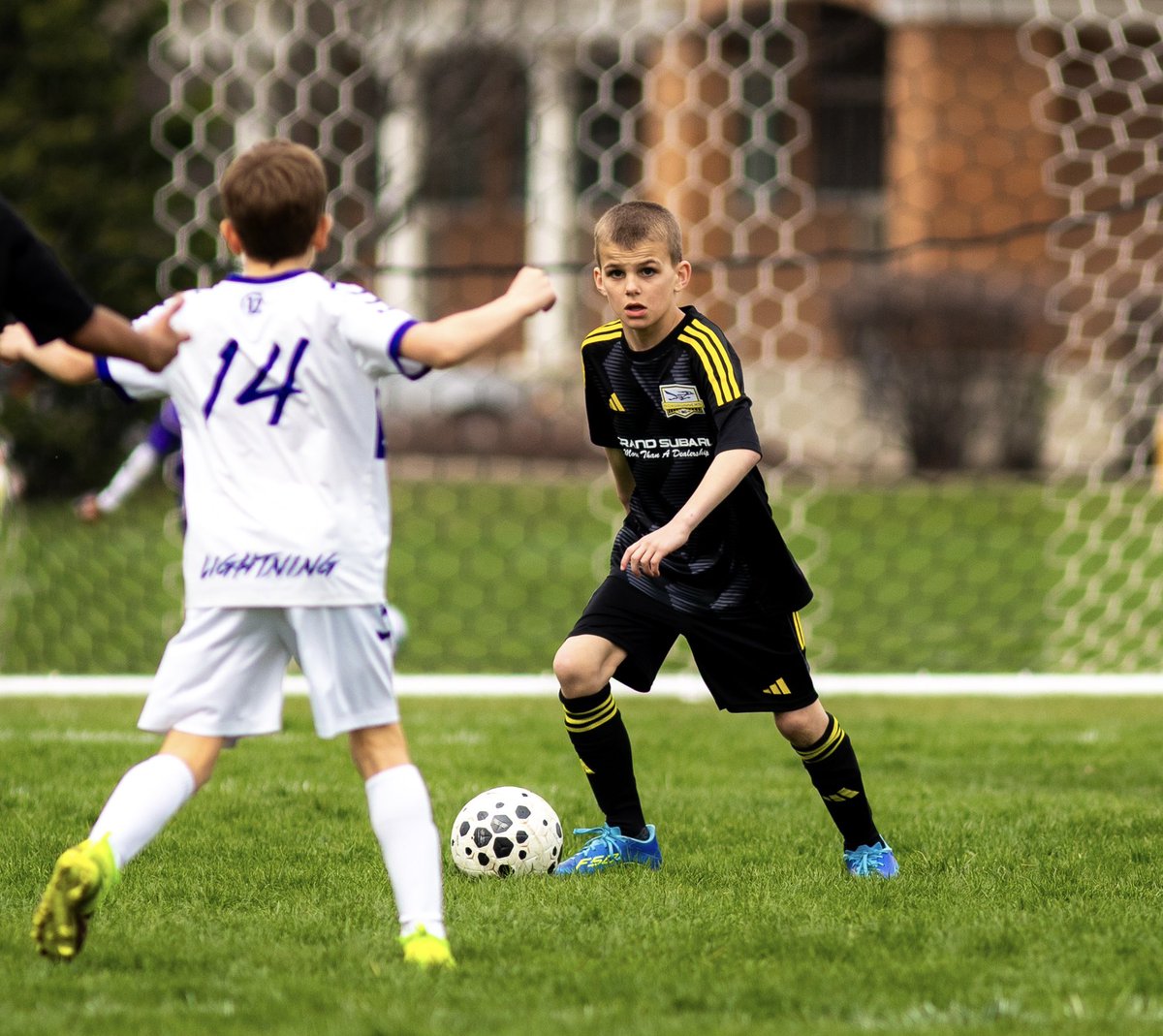 Roadrunners SC tweet media