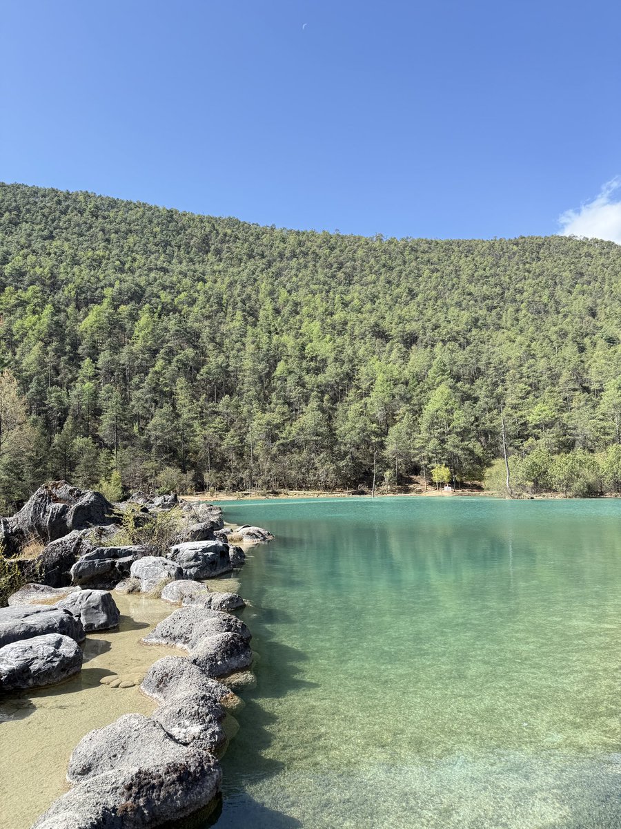 May.girl🌼🎀 tweet media