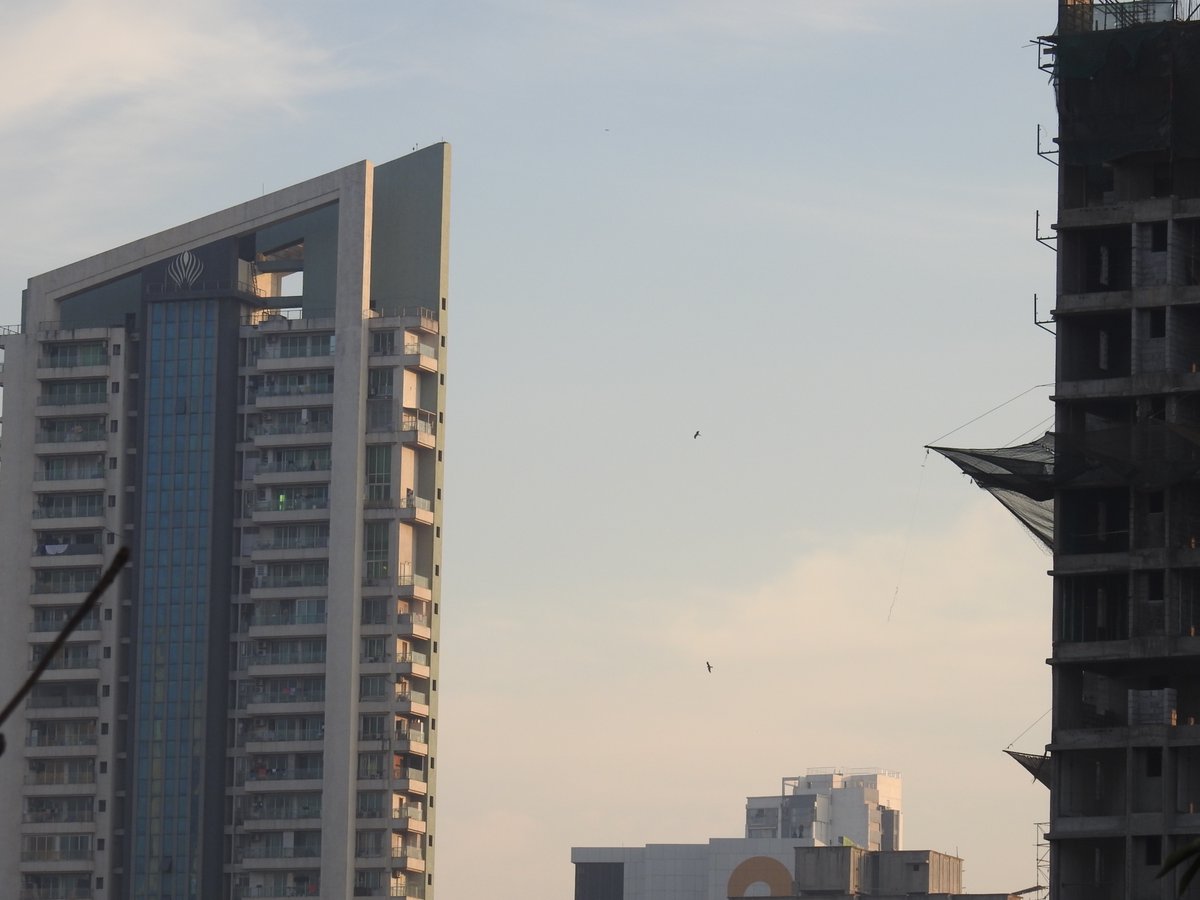 itsslickclicks's tweet image. A Lightroom edit. The change is subtle. Wanted to bring out the evening sun hitting the building. 
What do you think?
#lightroom #photography