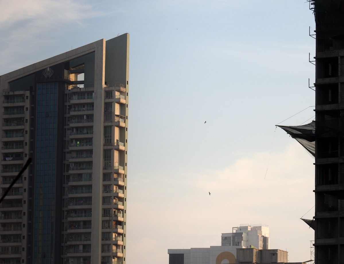 itsslickclicks's tweet image. A Lightroom edit. The change is subtle. Wanted to bring out the evening sun hitting the building. 
What do you think?
#lightroom #photography