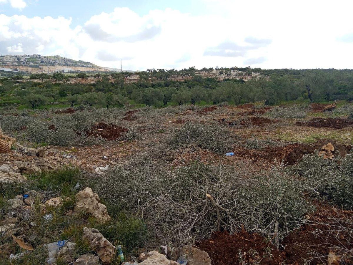 ahmad s. faqeeh tweet media