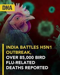 prtksays's tweet photo. BREAKING: India is battling a severe H5N1 Bird Flu outbreak with over 85,000 bird flu-related deaths reported! 🐔💔 This is a serious public health concern that demands immediate action. Stay vigilant, stay informed! 🇮🇳 #H5N1 #BirdFlu #India #OutbreakAlert #PublicHealth https://t.co/pVu6RqKccY