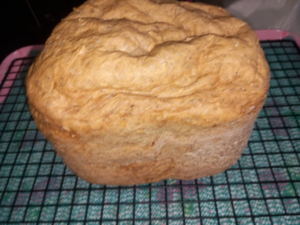 CAYMUSOCAUGHEY's tweet image. @CAYMUSOCAUGHEY 🐦

Seeded Bread Made 

#Random #Cooking #Baking #Homemade #HomeMadeIsBest #Bread #HomemadeBread #SeededBreed #CJsKitchenOfAlchemy #LittleThingsMatter