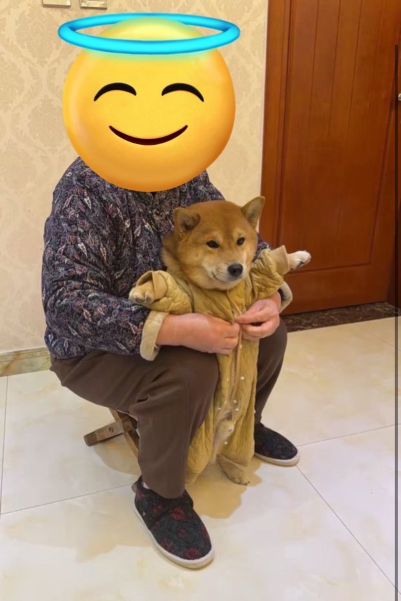 犬しか勝たん tweet media