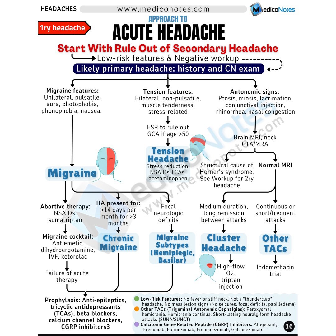 MedicoNotes tweet media