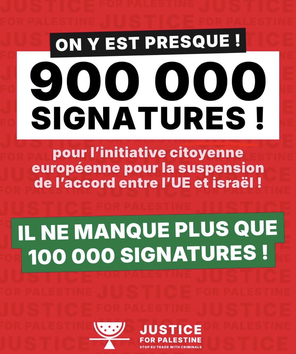 Rima Hassan tweet media