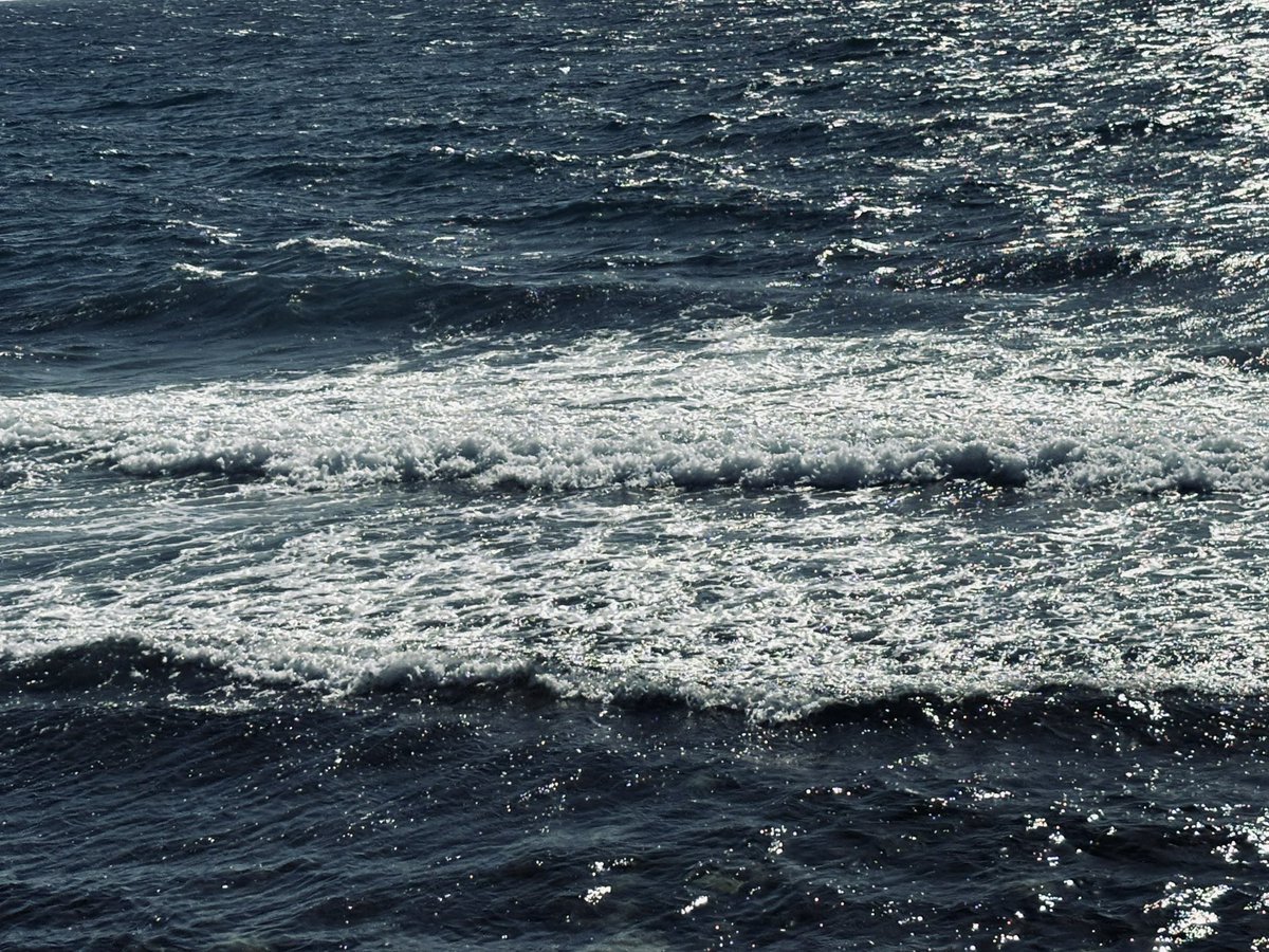 غدير نـــايف | Ghadeer Nayef tweet media