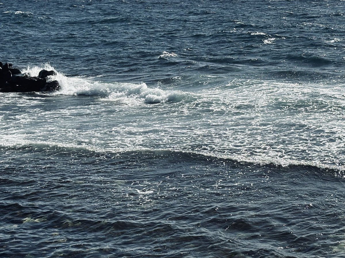 غدير نـــايف | Ghadeer Nayef tweet media