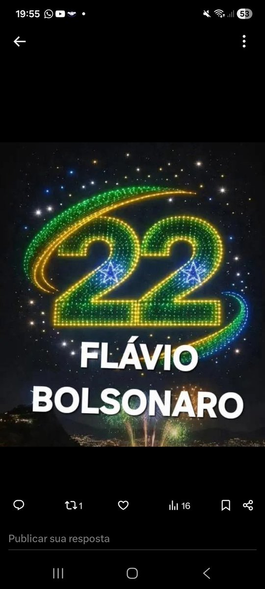 Léia BRASIL ! 🇧🇷🇧🇷💚💛 tweet media