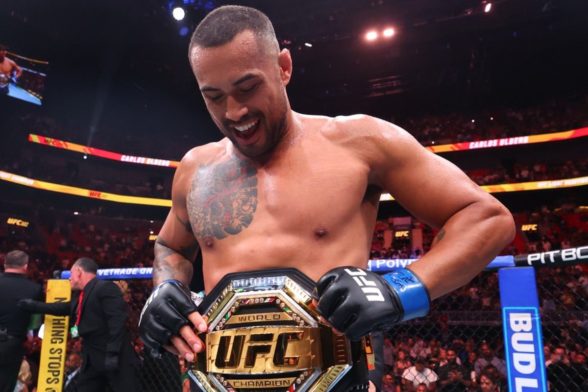 Pelunaton tweet media