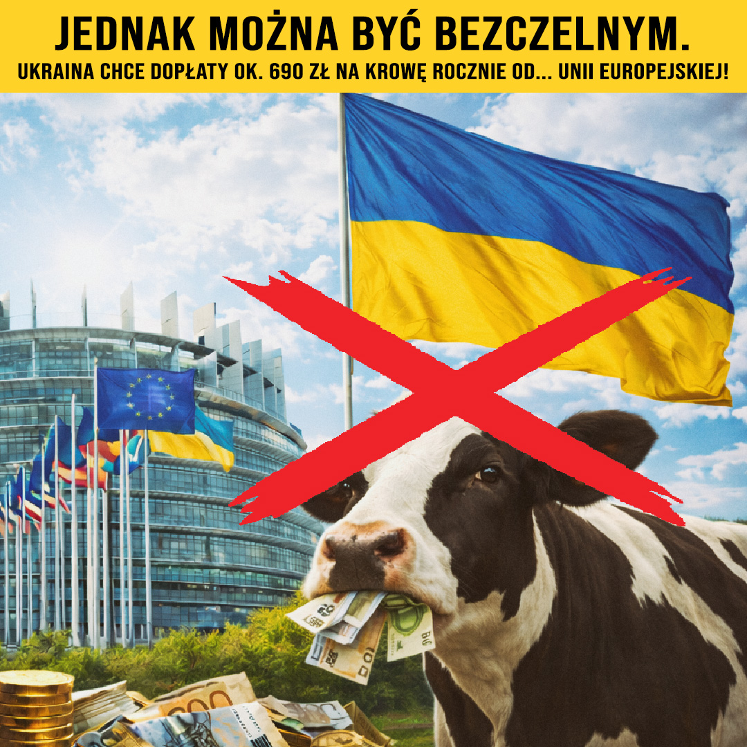 Zbigniew Legutowski tweet media